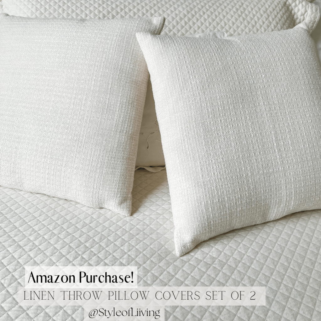 Throw Pillow Covers