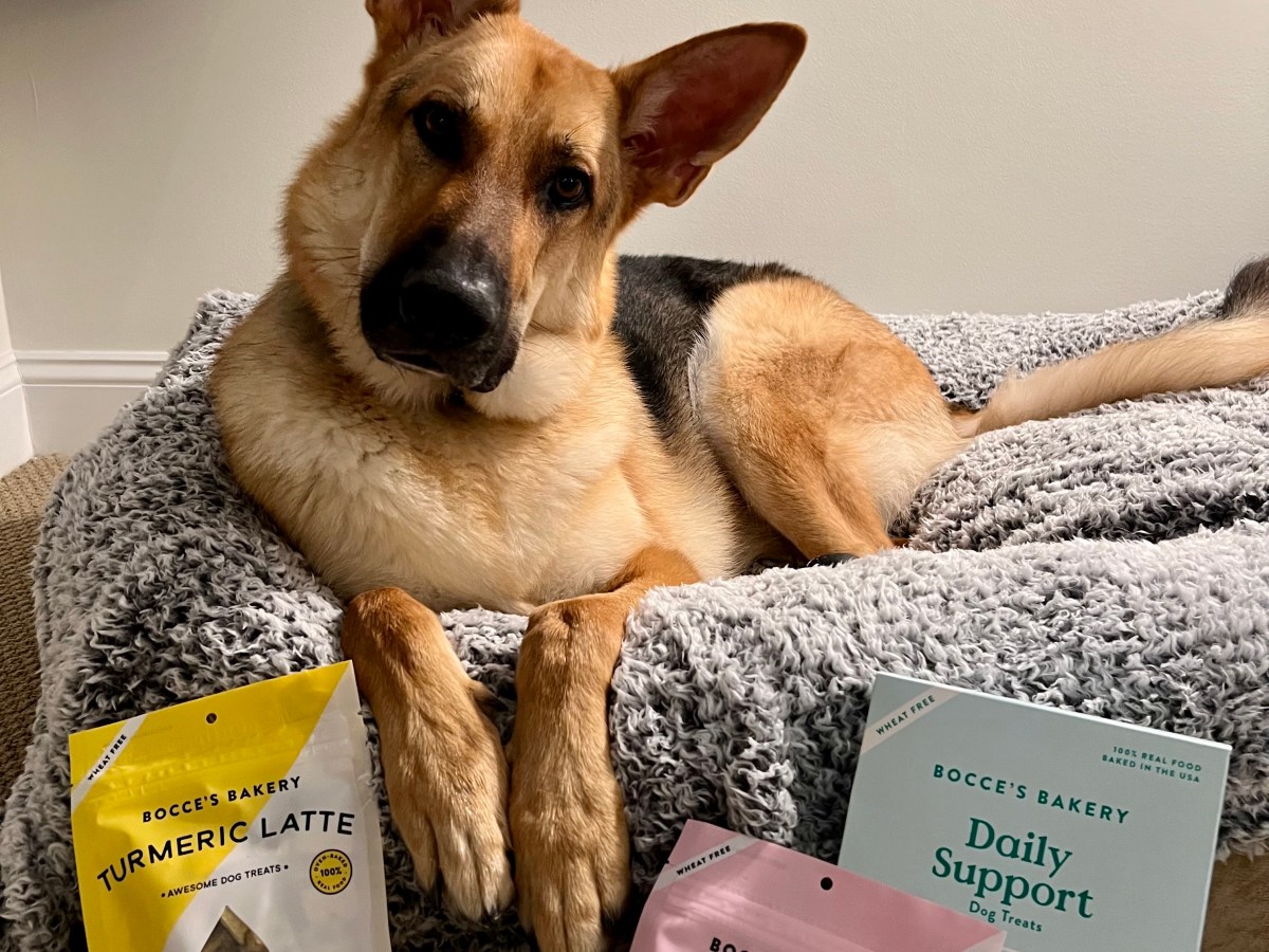 Bocce’s Bakery Dog&nbsp;Treats