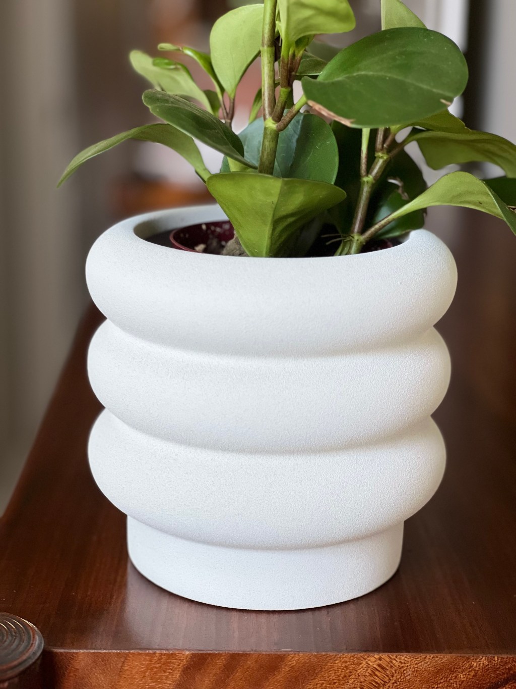 White Bubble Planter